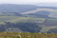 Mercedes-Benz Tour 2025
