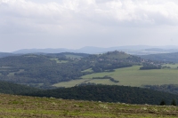 Mercedes-Benz Tour 2025