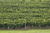 Mercedes-Benz Tour 2025