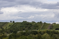 Mercedes-Benz Tour 2025