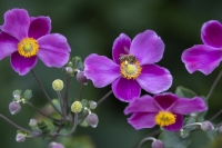 Mercedes-Benz Tour 2025